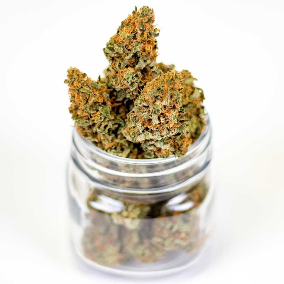 Fleurs de cannabis dans un bocal en verre.